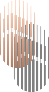 Asset 2 160x300 1 The Opus One